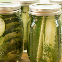 Dill-icious (Classic Dill Pickles)