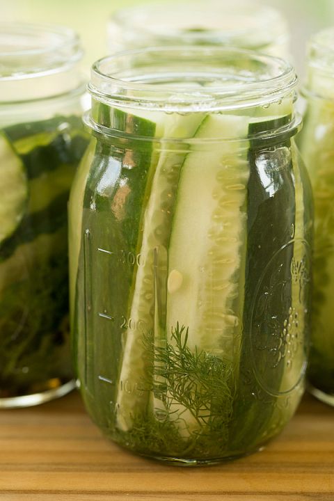 Dill-icious (Classic Dill Pickles)